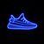 Yeezy Boost